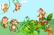 娛樂吃瓜小故事大全集免費閱讀,揭秘小故事中的大瓜料